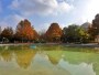 پارک کوهسنگی از جاذبه های گردشگری مشهد+ عکس