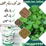 فروش بذر یونجه و علوفه اعلا  در شمالغرب ایران