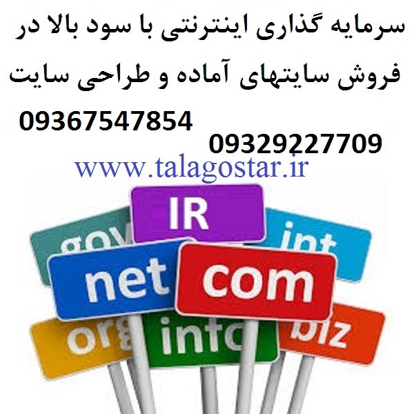 سرمایه گذاری با سود بالا در شغل اینترنتی طلاگستر