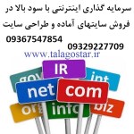 سرمایه گذاری با سود بالا در شغل اینترنتی طلاگستر